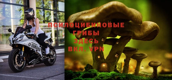 хмурый Карталы