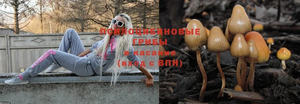 гидропоника Касимов