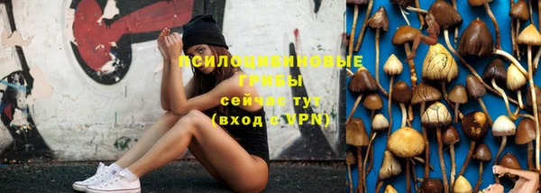 хмурый Карпинск