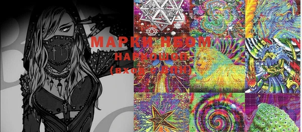 хмурый Карпинск